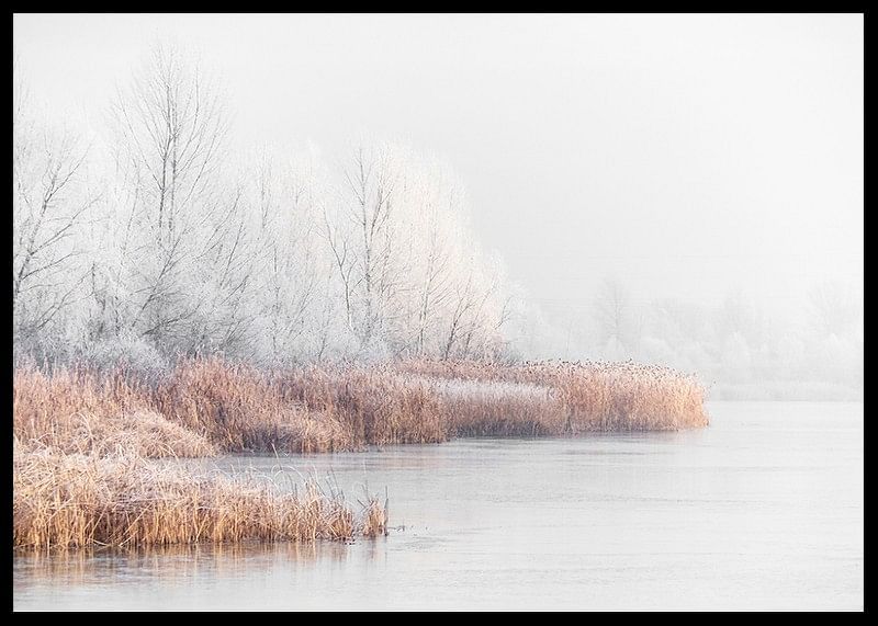 Snow Covered Lakeside-12