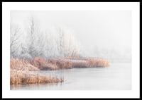 Photograph of frost-covered trees and reeds by a lake in winter mist-0