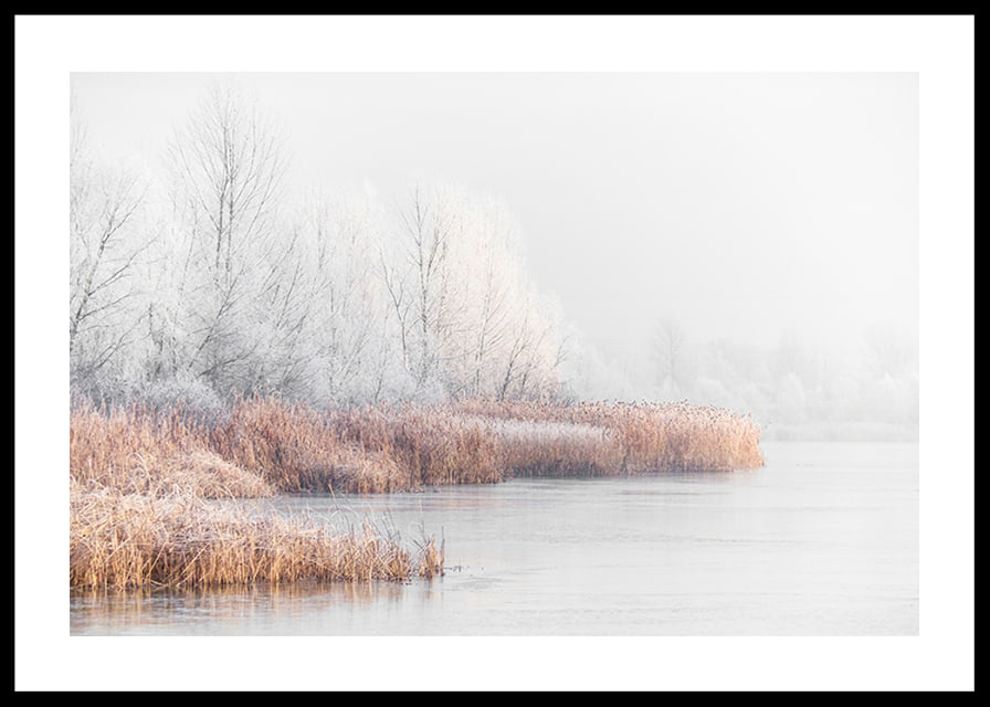 Photograph of frost-covered trees and reeds by a lake in winter mist-12