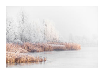 Poster Snow Covered Lakeside