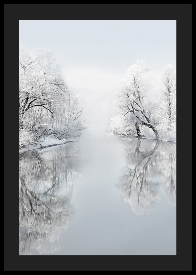 Paysage d'hiver photographique avec des arbres enneigés au bord du lac-12