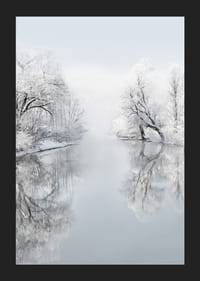 Paysage d'hiver photographique avec des arbres enneigés au bord du lac-5