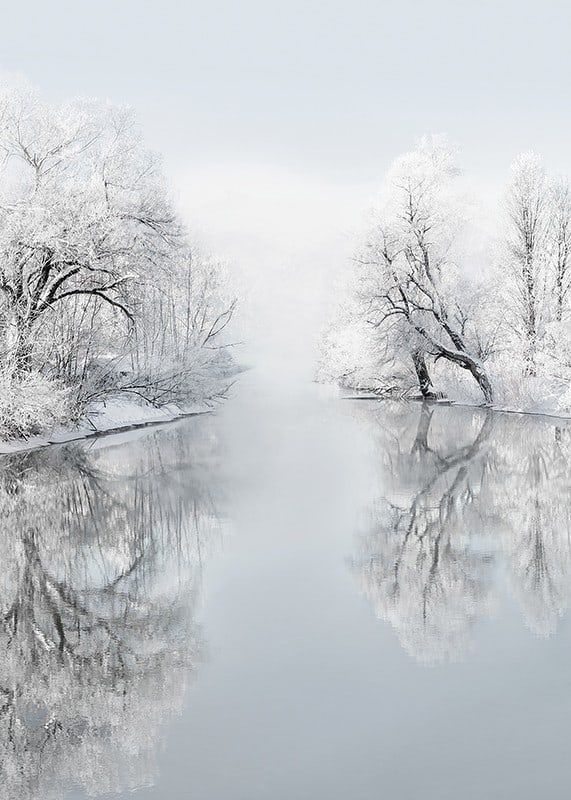 Fotogrāfiska ziemas ainava ar sniegotiem kokiem ezera krastā-12