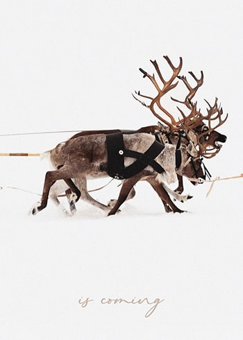 Poster Santa Claus And Reindeer Part2