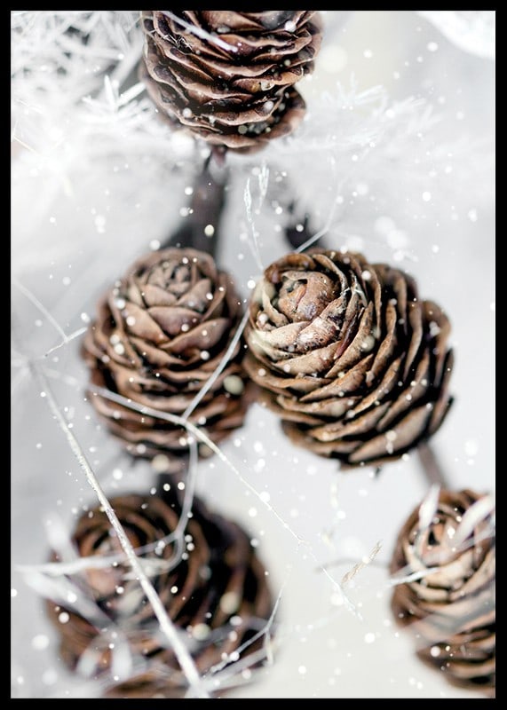 Close-up of brown fir cones with snow on white background-12