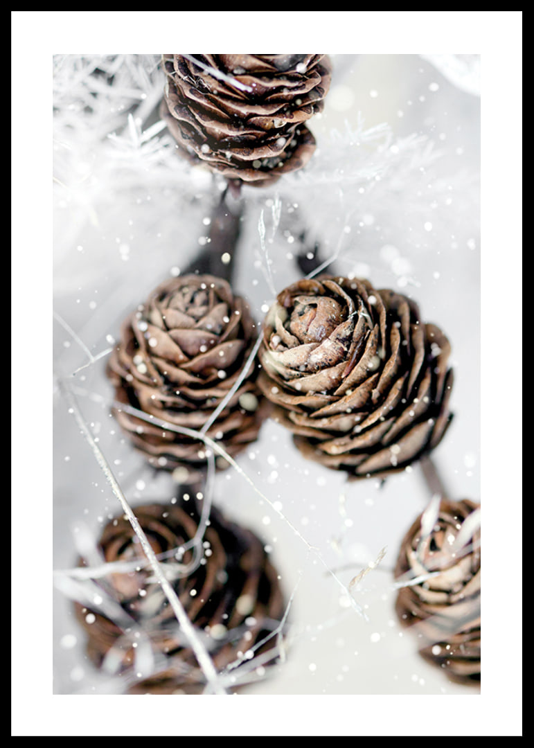 Close-up of brown fir cones with snow on white background-12