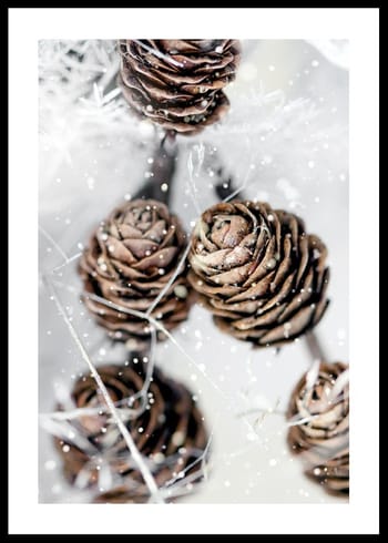 Poster Winter Pine Cones