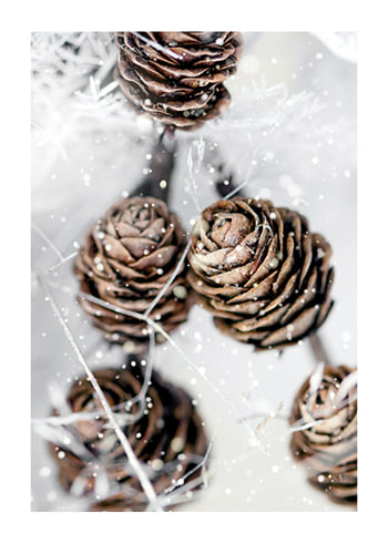 Poster Winter Pine Cones