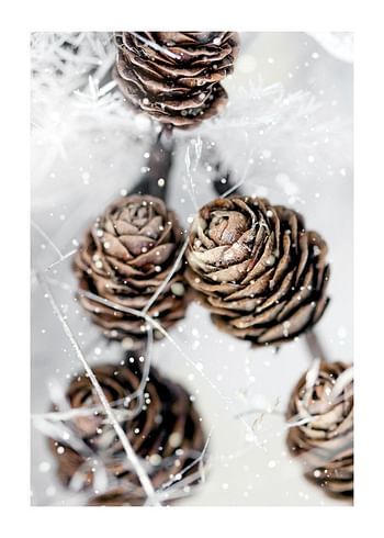 Poster Winter Pine Cones