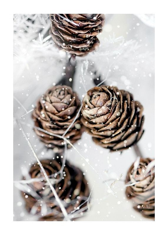 Winter Pine Cones-12