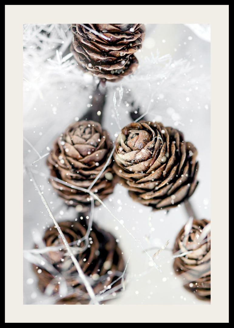 Close-up of brown fir cones with snow on white background-12