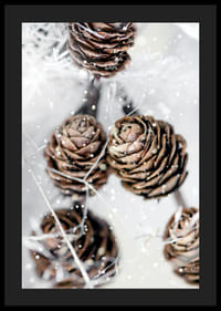 Primer plano de piñas de abeto marrones con nieve sobre fondo blanco-4