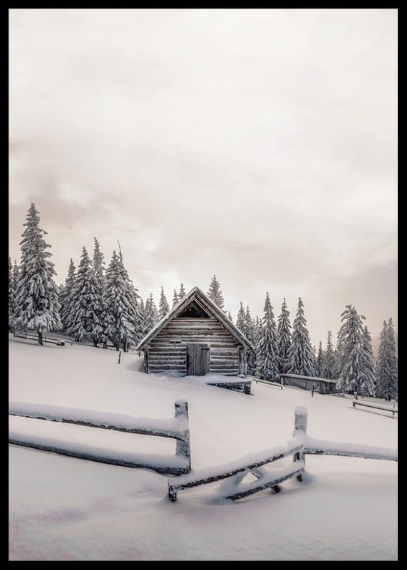 Photograph of wooden cottage in snow-covered landscape with fir trees-12