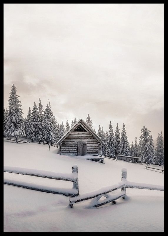 Cabin In Snow-12