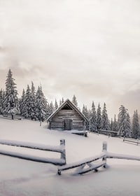 Photograph of wooden cottage in snow-covered landscape with fir trees-7