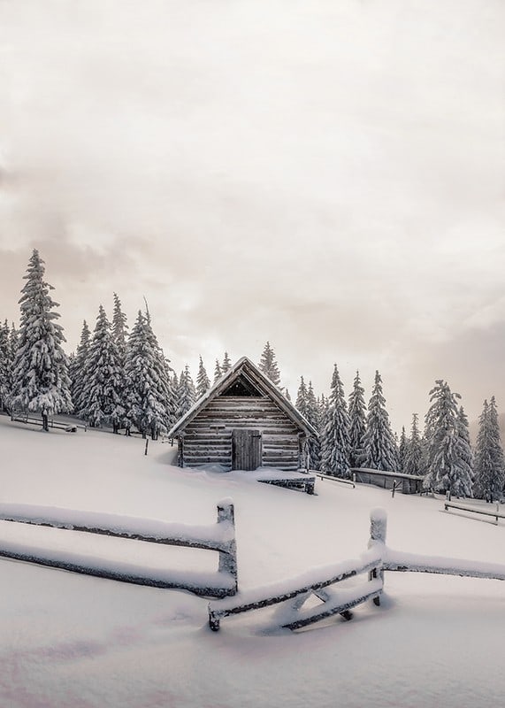 Photograph of wooden cottage in snow-covered landscape with fir trees-12