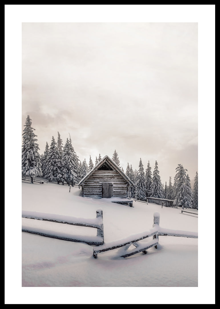 Photograph of wooden cottage in snow-covered landscape with fir trees-12