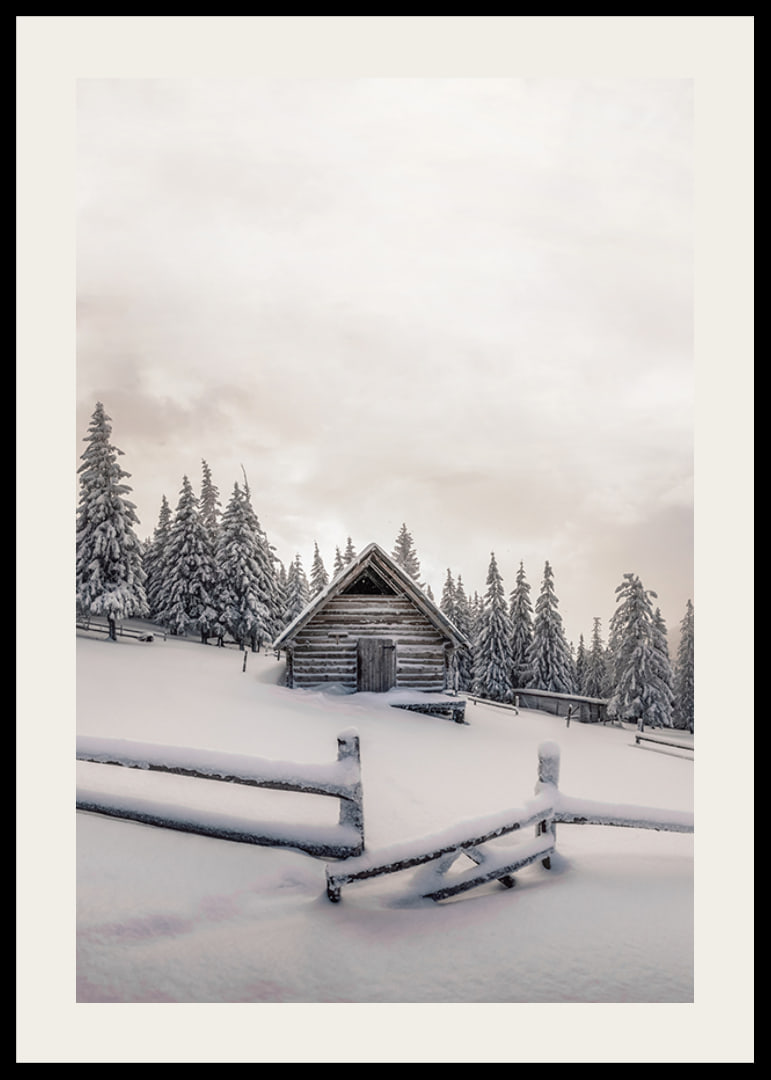Photograph of wooden cottage in snow-covered landscape with fir trees-12