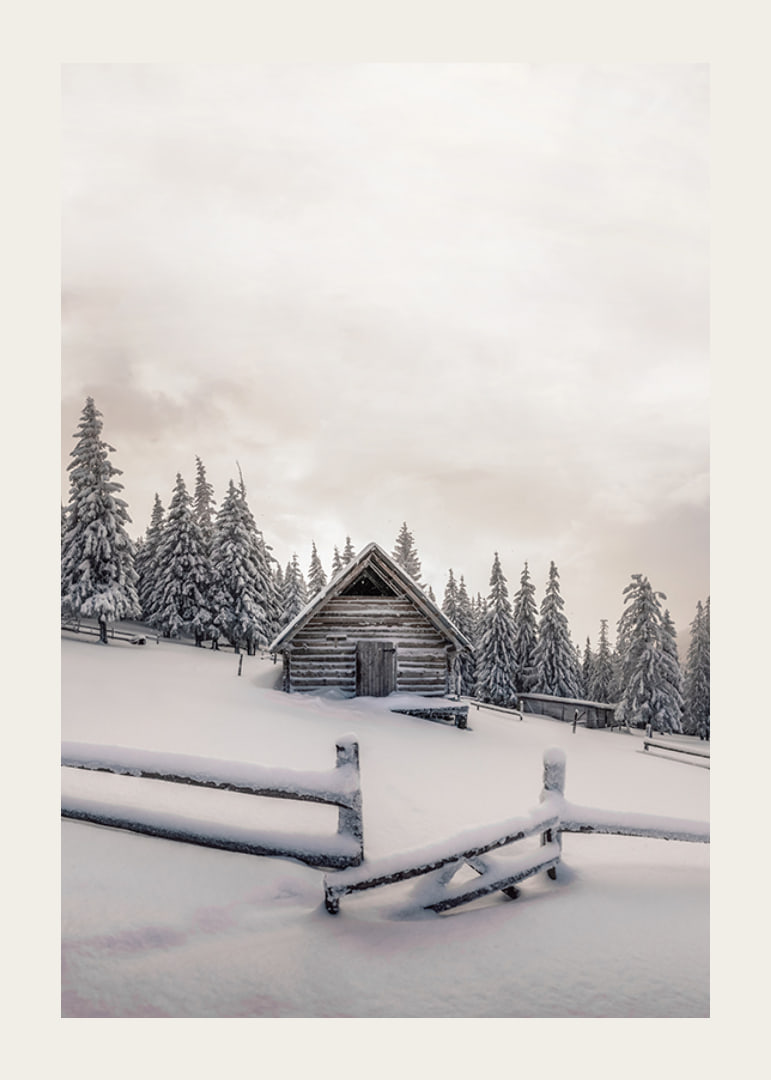 Photograph of wooden cottage in snow-covered landscape with fir trees-12