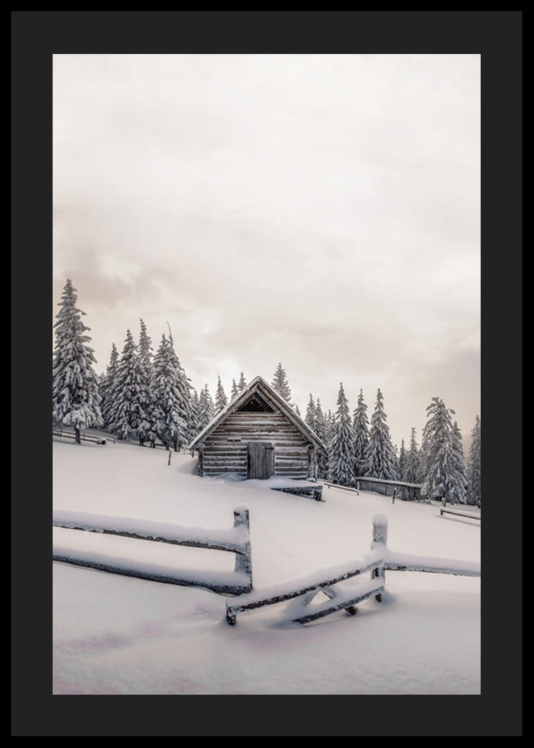 Photograph of wooden cottage in snow-covered landscape with fir trees-12