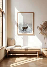 Fotografisk hjort med horn på frostig äng, dimmig bakgrund-8