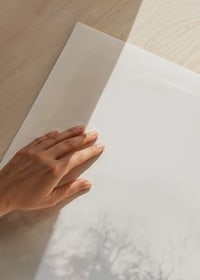 Fotografisk hjort med horn på frostig äng, dimmig bakgrund-9