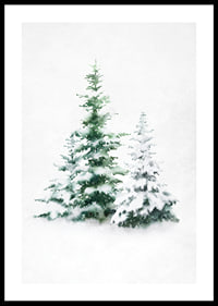 Aquarell von drei schneebedeckten Tannen auf hellem Hintergrund-0