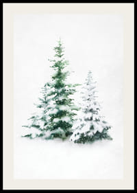 Watercolor of three snow-covered fir trees on light background-2