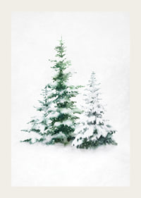 Aquarell von drei schneebedeckten Tannen auf hellem Hintergrund-3
