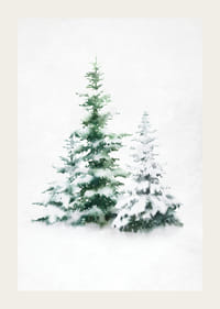 Watercolor of three snow-covered fir trees on light background-3