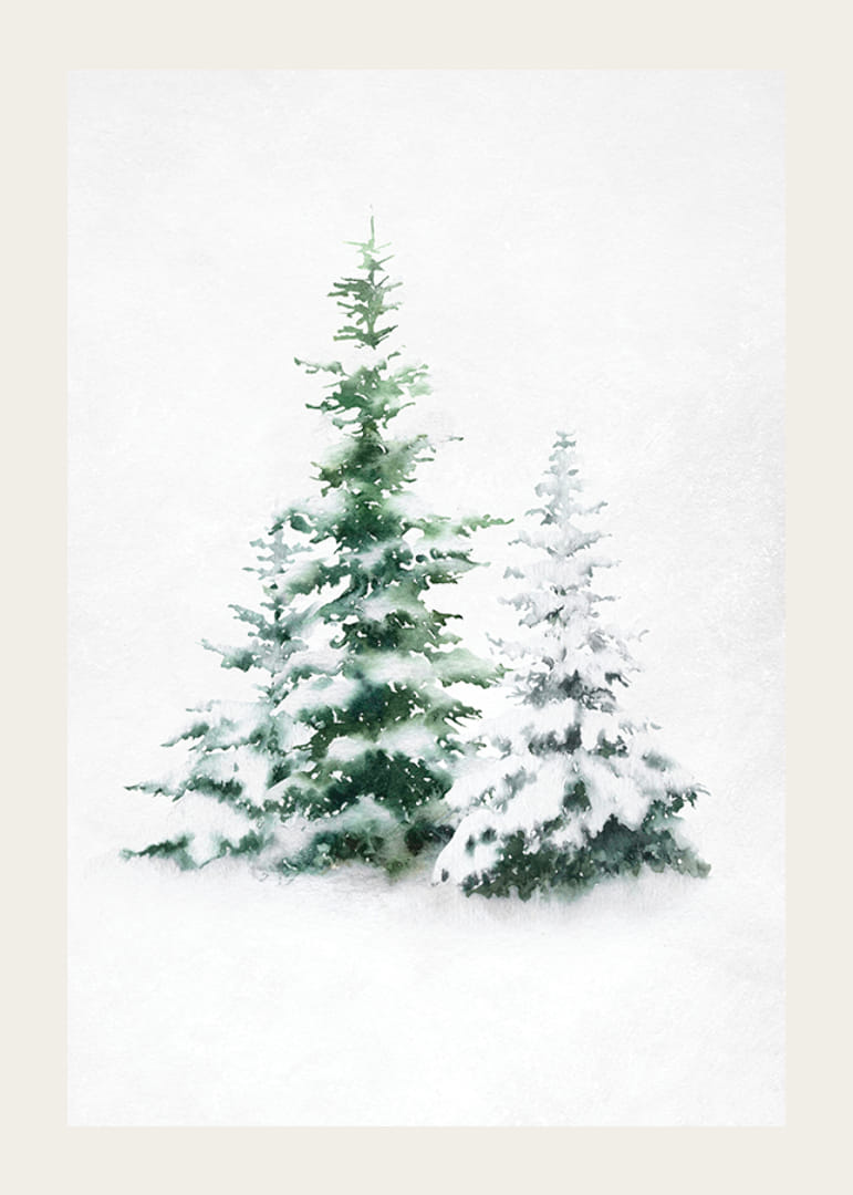 Watercolor of three snow-covered fir trees on light background-12