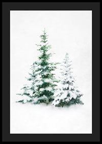 Aquarell von drei schneebedeckten Tannen auf hellem Hintergrund-4