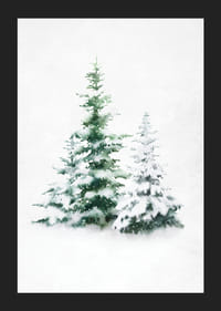 Watercolor of three snow-covered fir trees on light background-5