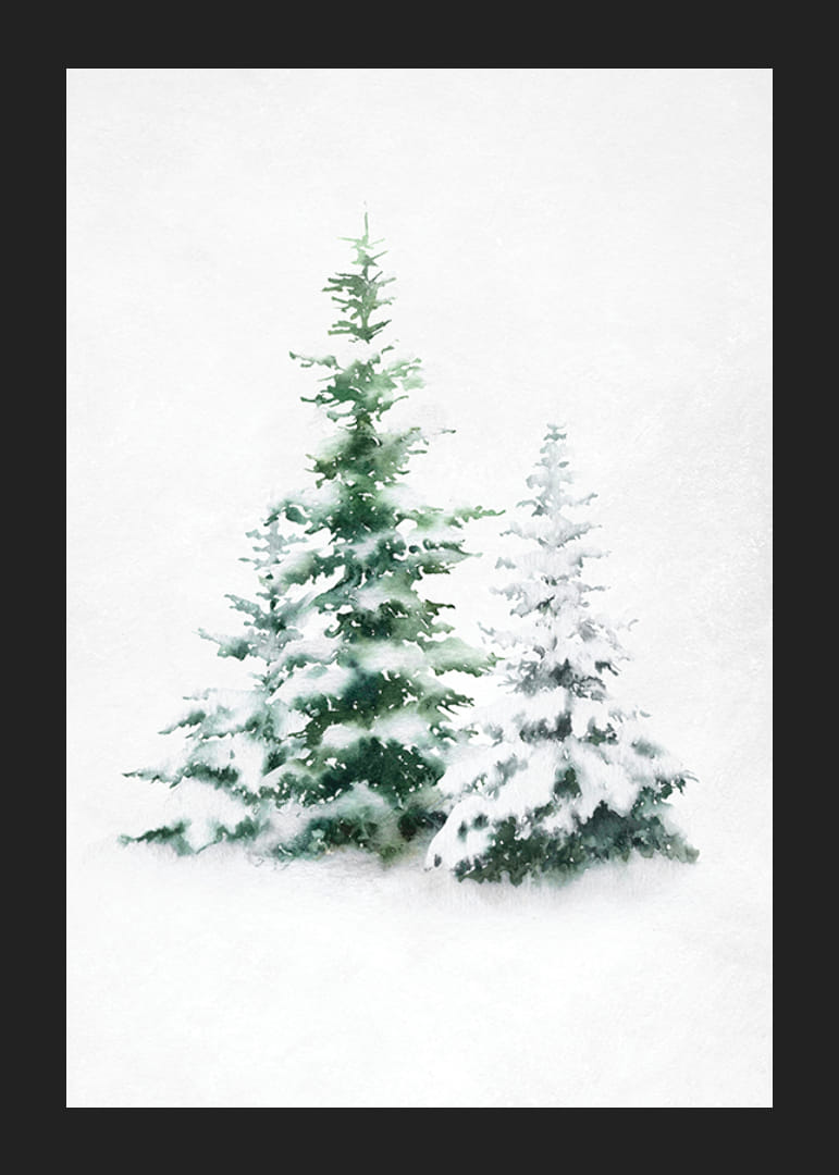 Watercolor of three snow-covered fir trees on light background-12