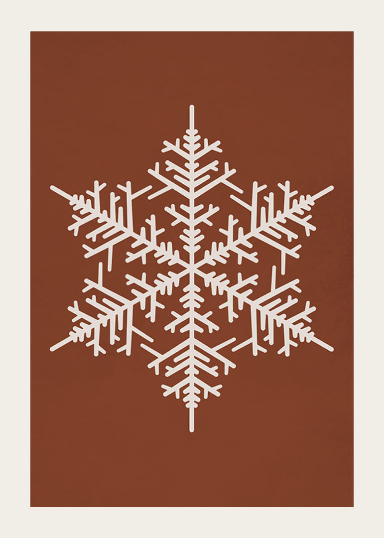 Grafická snehová vločka v bielej farbe na teplom hnedom pozadí-12