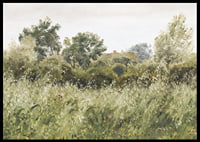 Field of Oats Near Vejby By P. C. Skovgaard-8