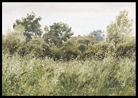 Field of Oats Near Vejby By P. C. Skovgaard-2
