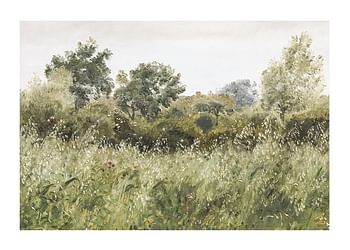 Poster Field of Oats Near Vejby By P. C. Skovgaard