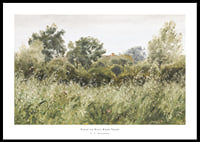 Field of Oats Near Vejby By P. C. Skovgaard-0