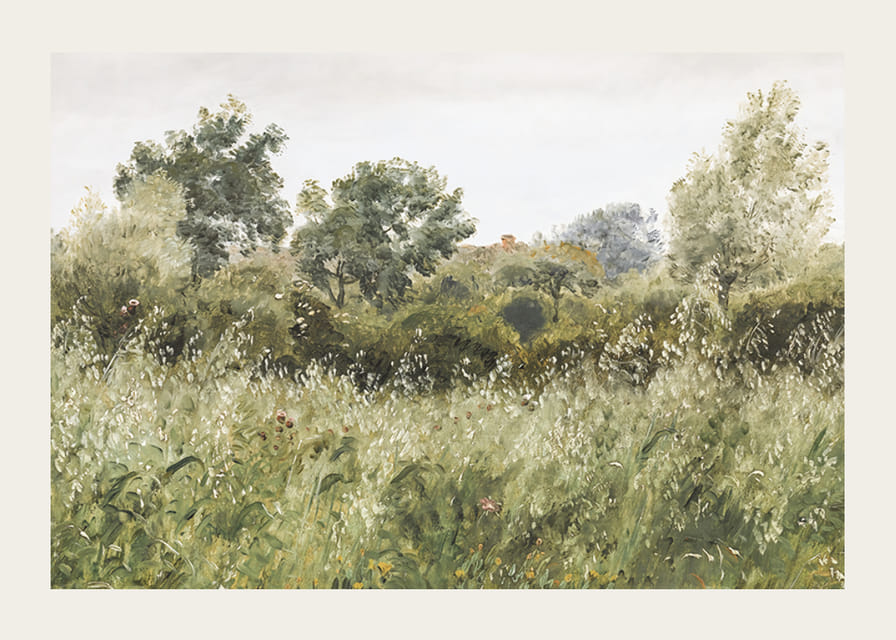 Field of Oats Near Vejby By P. C. Skovgaard-12