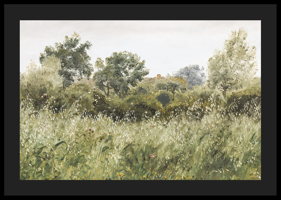 Field of Oats Near Vejby By P. C. Skovgaard-12