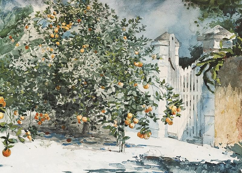 Orange Trees And Gate By Winslow Homer-12