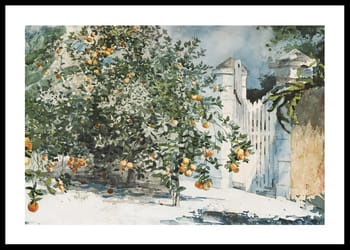 Poster Orange Trees And Gate By Winslow Homer