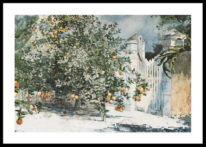 Orange Trees And Gate By Winslow Homer-12