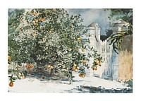 Orange Trees And Gate By Winslow Homer-1