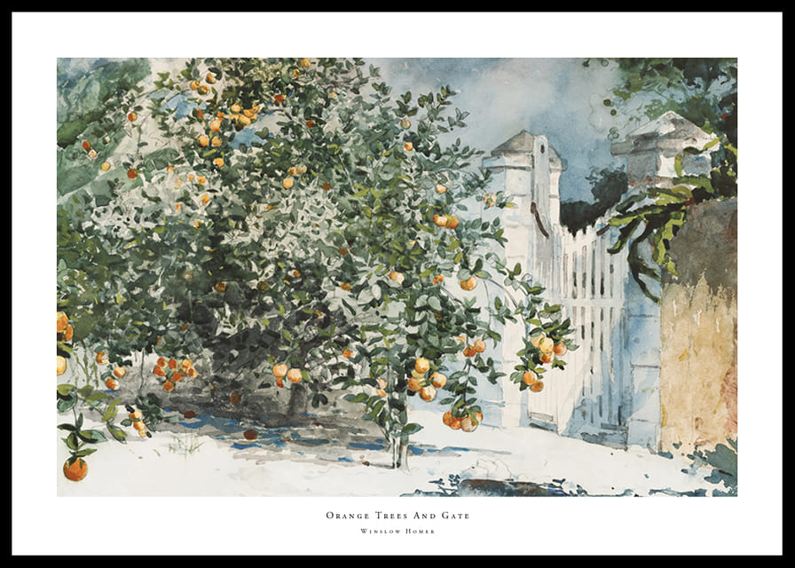 Orange Trees And Gate By Winslow Homer-12