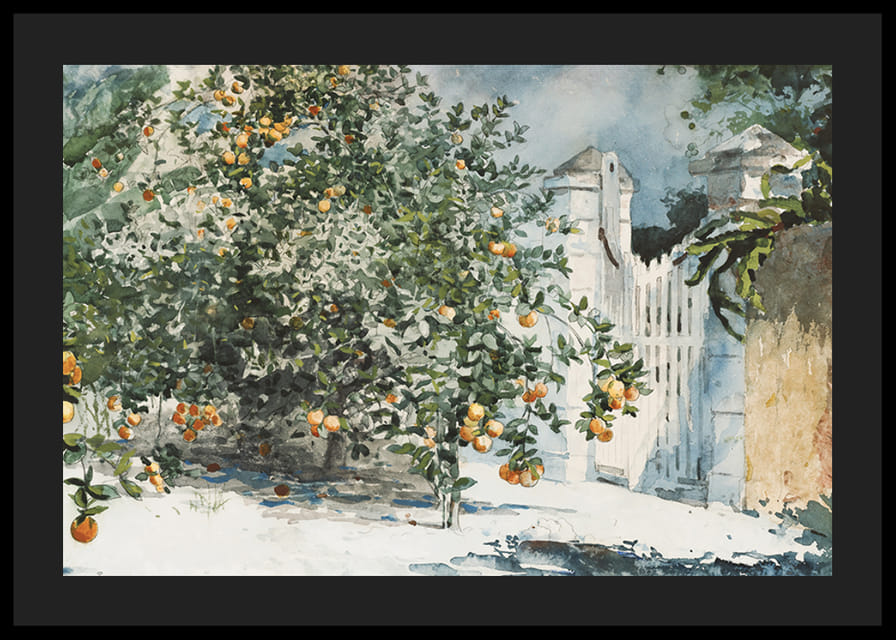 Orange Trees And Gate By Winslow Homer-12