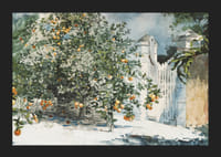 Orange Trees And Gate By Winslow Homer-7