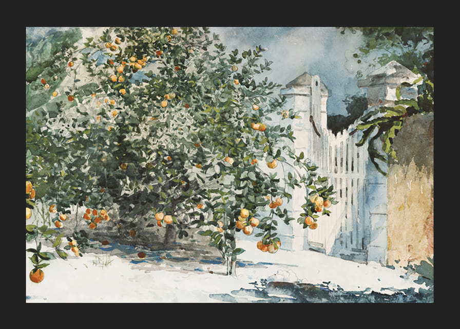 Orange Trees And Gate By Winslow Homer-12