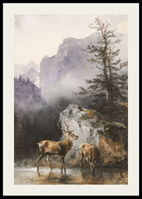 Hirsch Und Tier An Der Tränke By Friedrich Gauermann-4